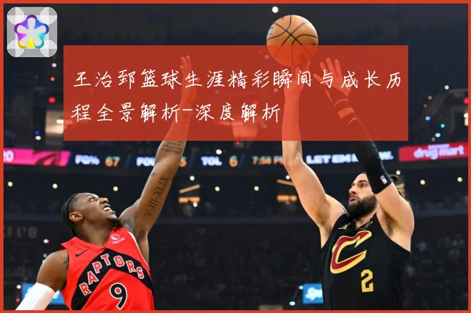 王治郅篮球生涯精彩瞬间与成长历程全景解析-深度解析