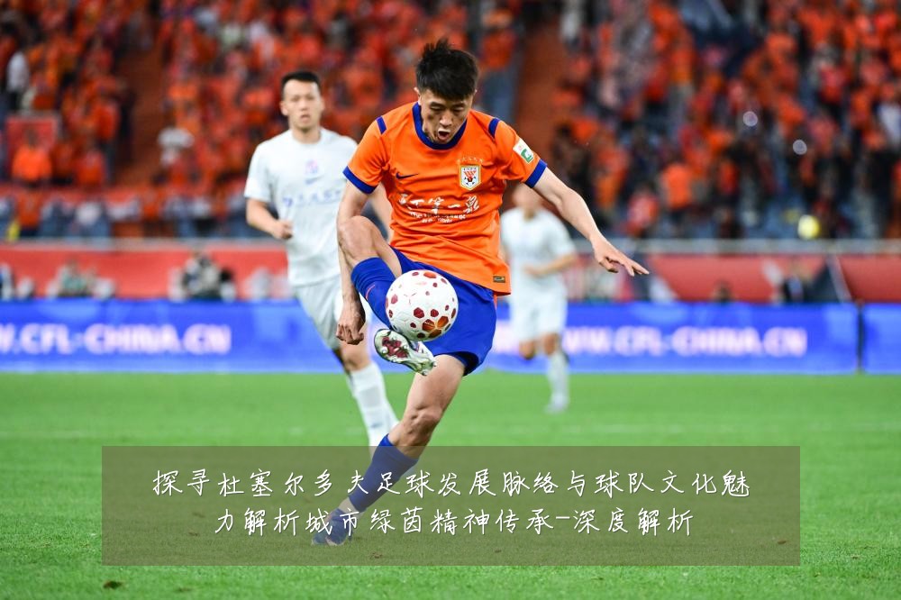 探寻杜塞尔多夫足球发展脉络与球队文化魅力解析城市绿茵精神传承-深度解析